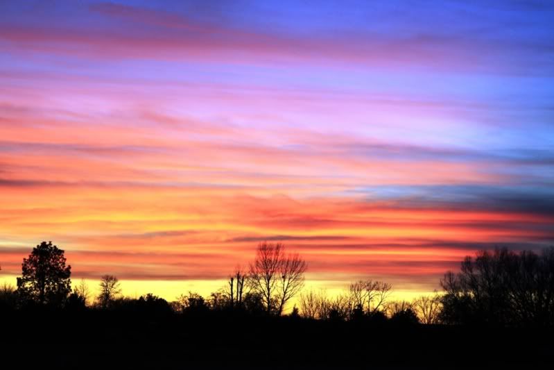 sunset2resized.jpg
