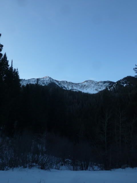 P1020233.jpg
