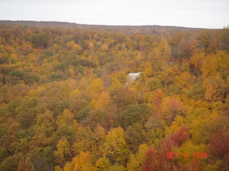 BFT091011033.jpg