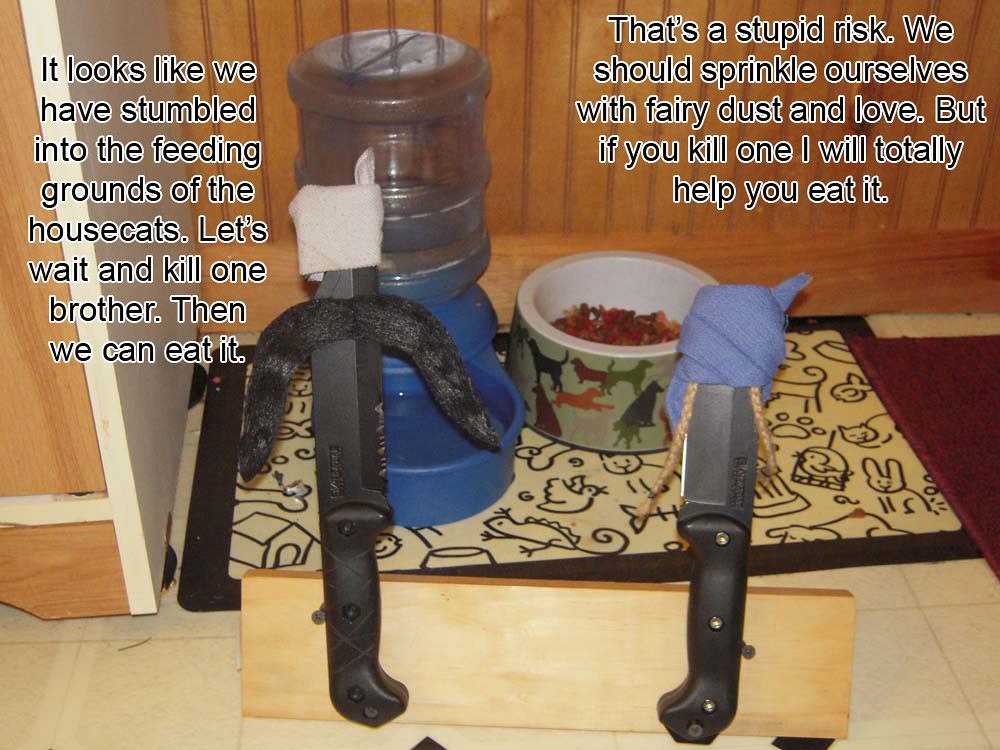 5353575934_d3dbc7cb00_b.jpg