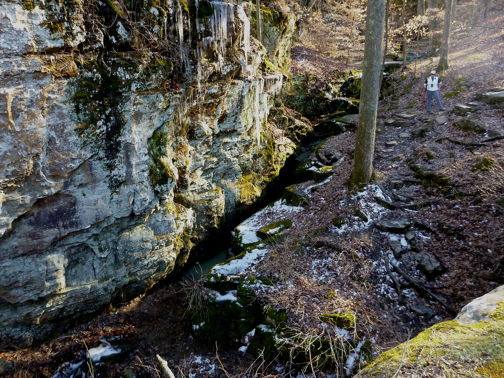 8505925322_f61566a744_b.jpg