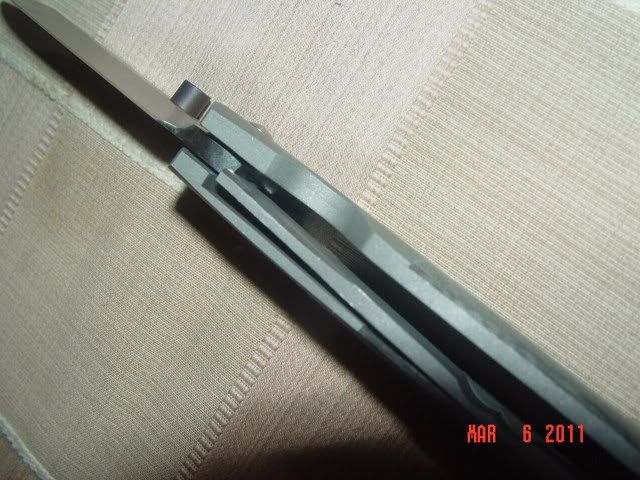 DSC00260-1.jpg