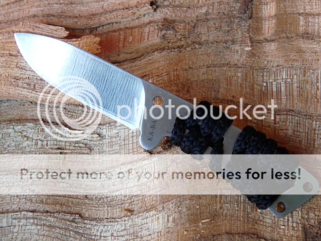beckerremora.jpg