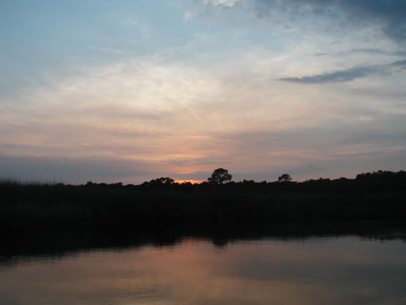 P8090231copy.jpg