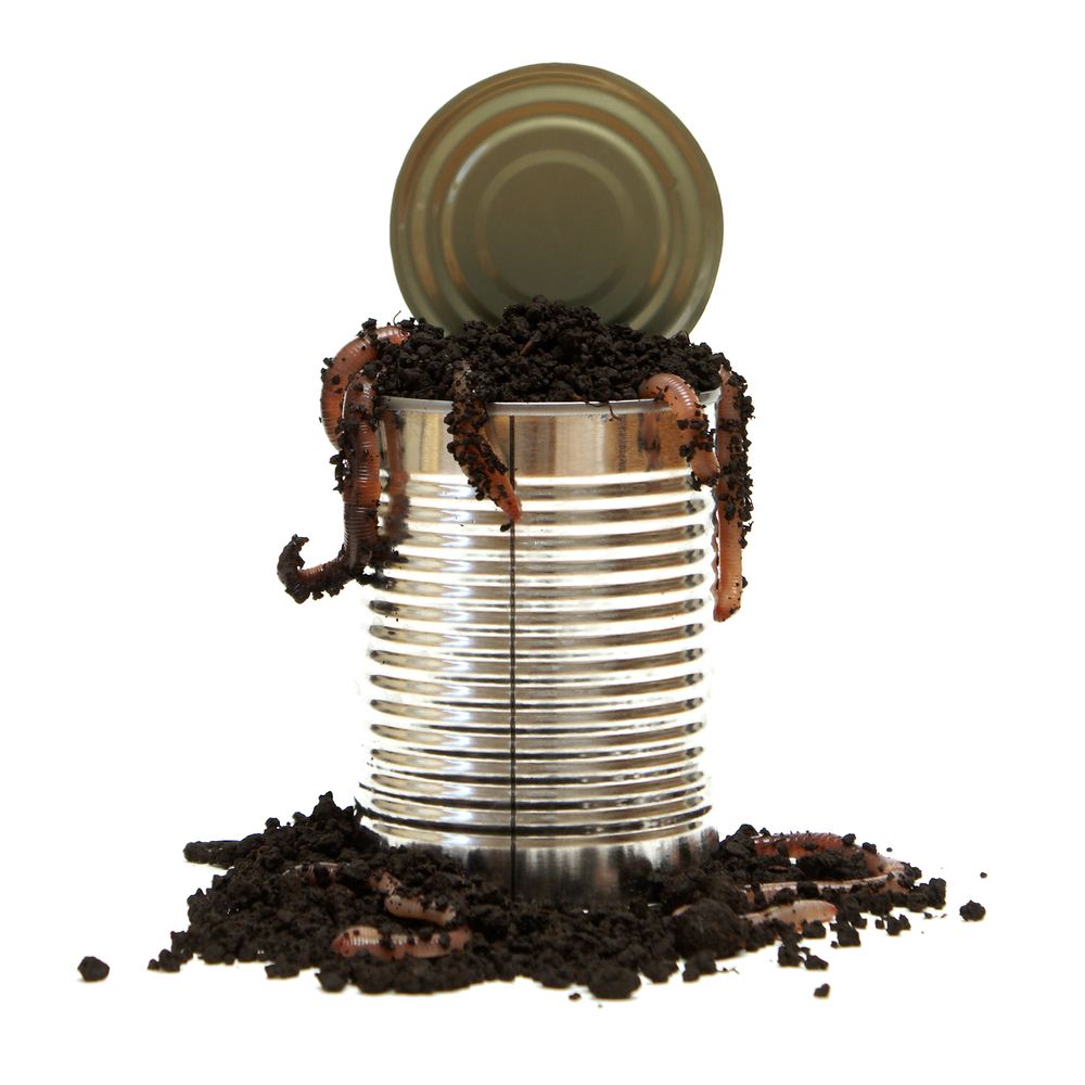 can-of-worms.jpg