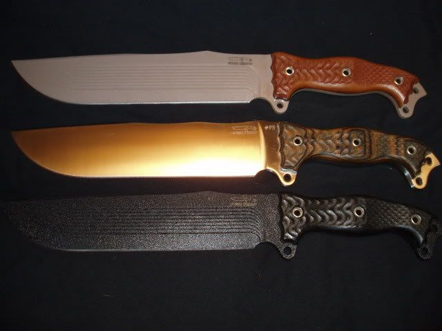 P1010012-2.jpg