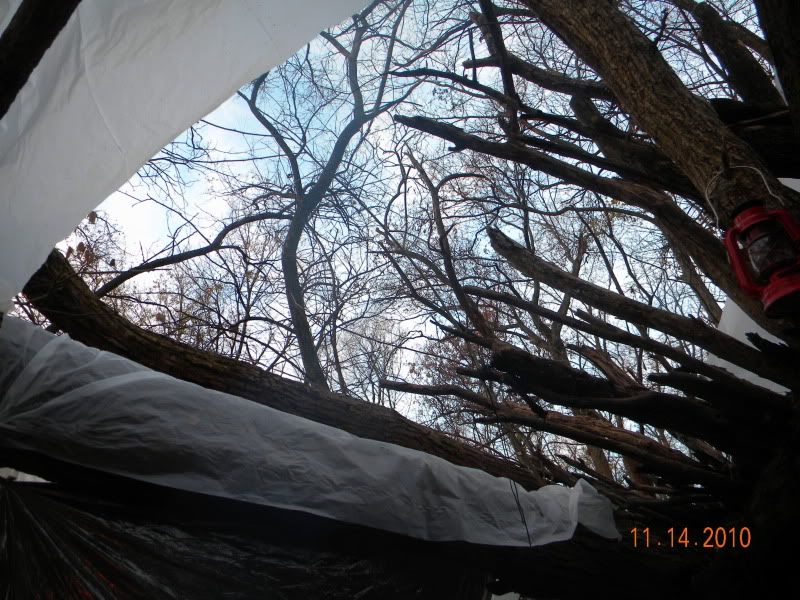 DSCN3088.jpg