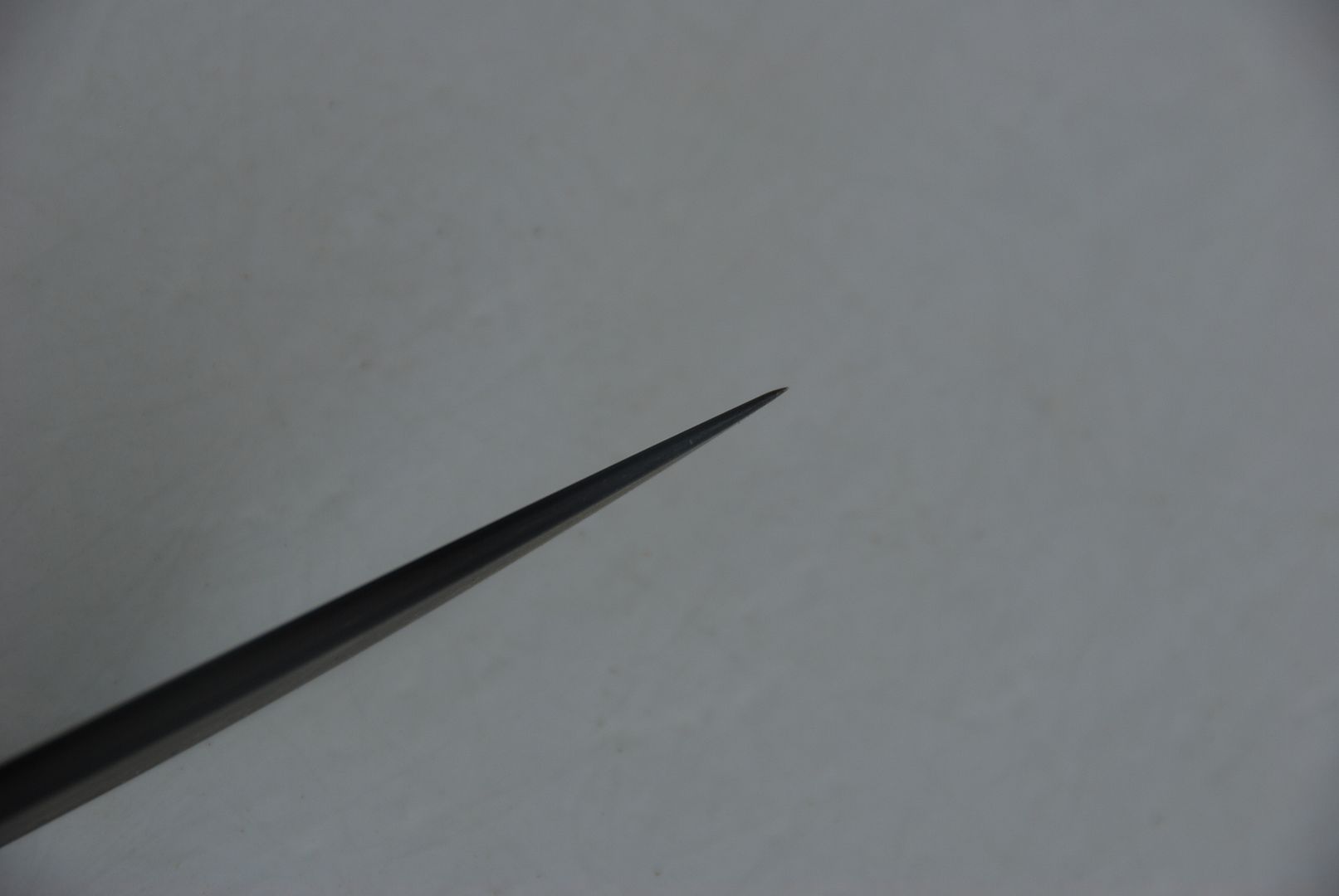 banditswardoginfishba024.jpg