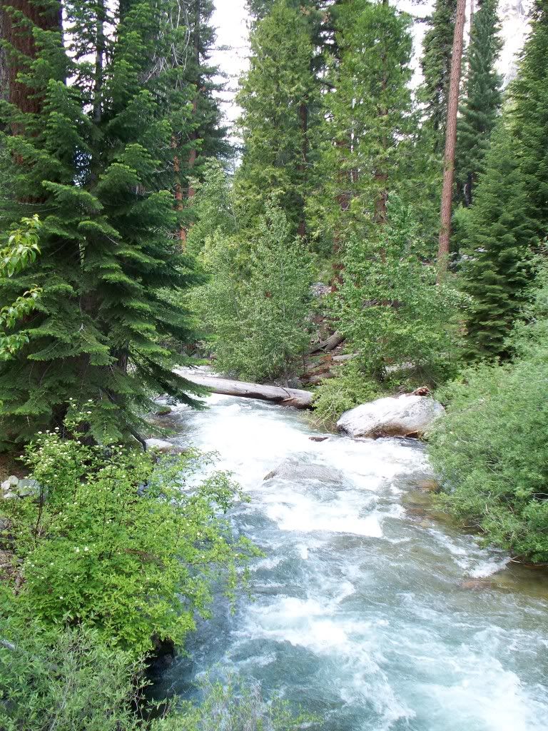 100_0417.jpg
