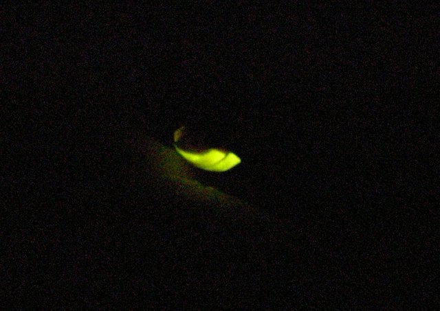 2009.05.30.R0018494.JPG