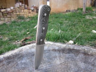 IMG_0651.jpg