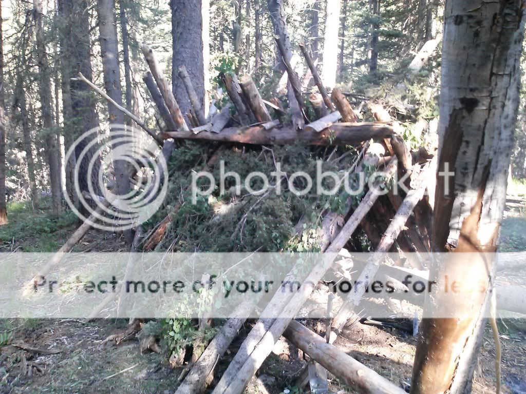 CAM00211_zpsbf62defe.jpg