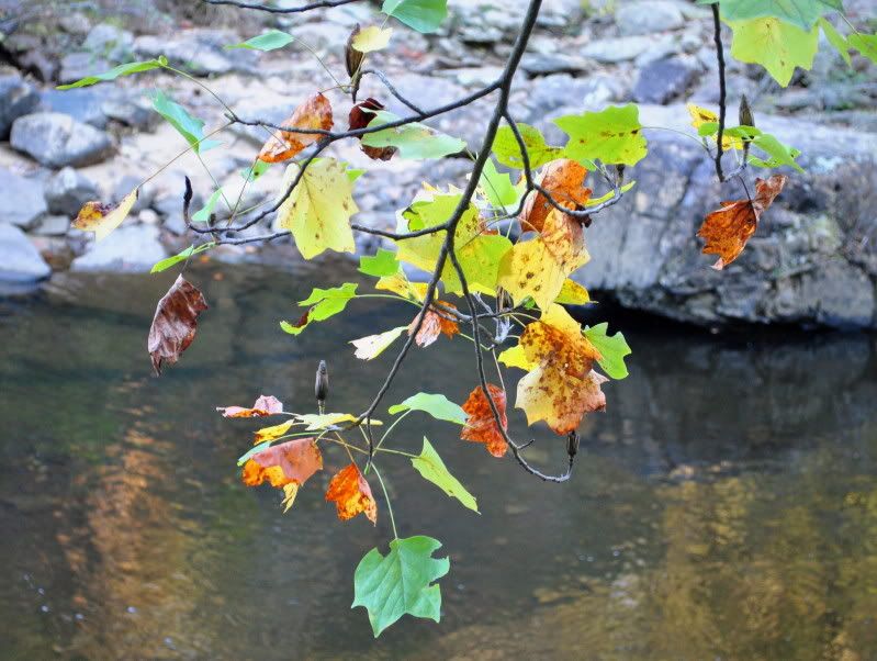 DSC_7905.jpg