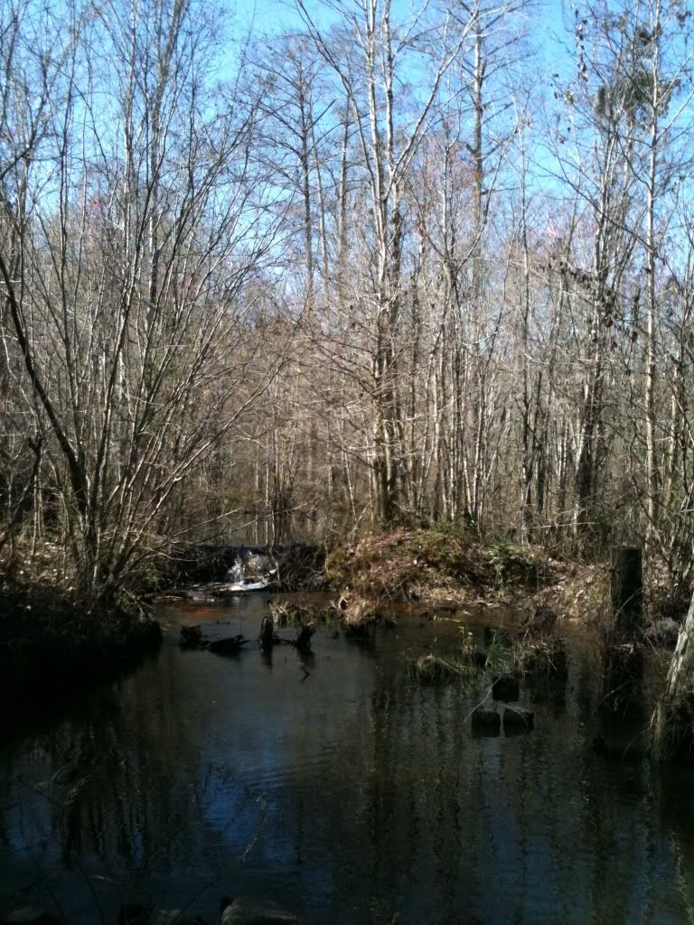 photo24.jpg