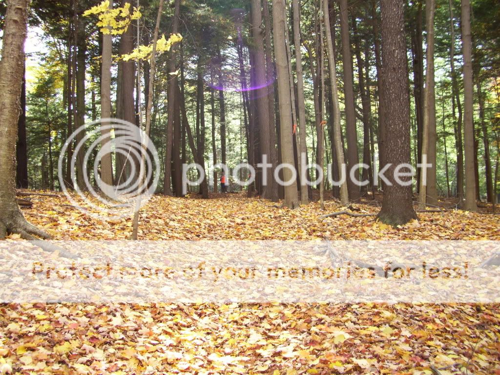 100_1657.jpg