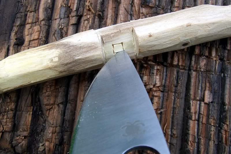 2008_JuneSpydercotenaciousF30018.jpg