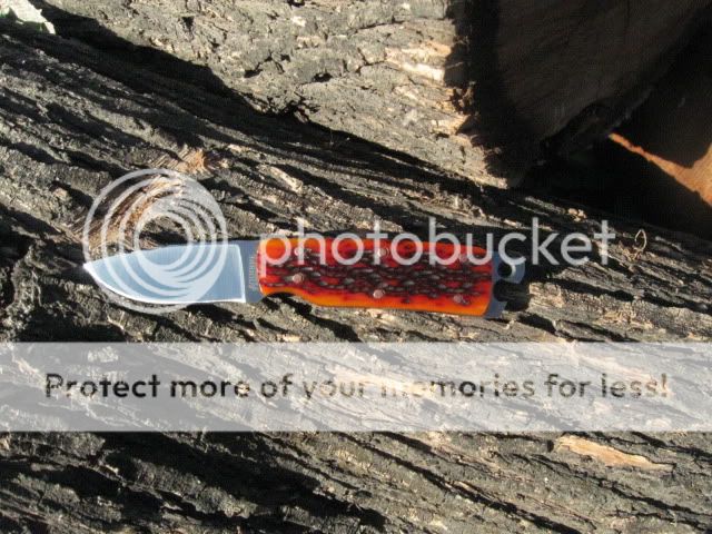 Picture492.jpg