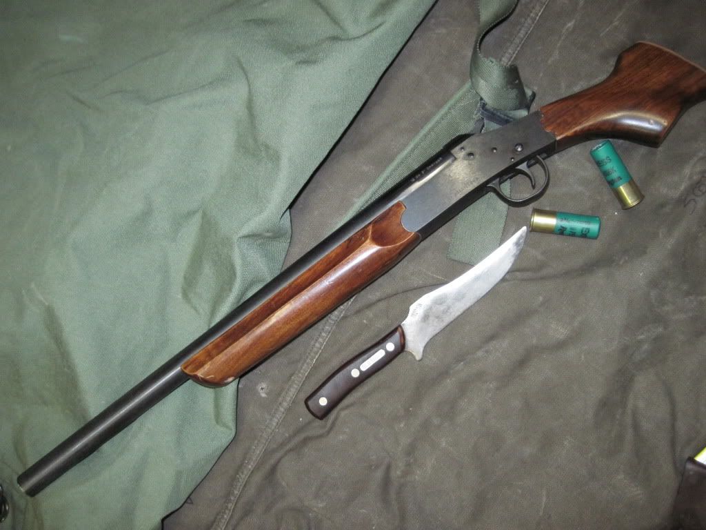 007.jpg