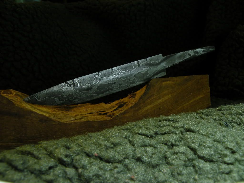 DSCN8899_.jpg