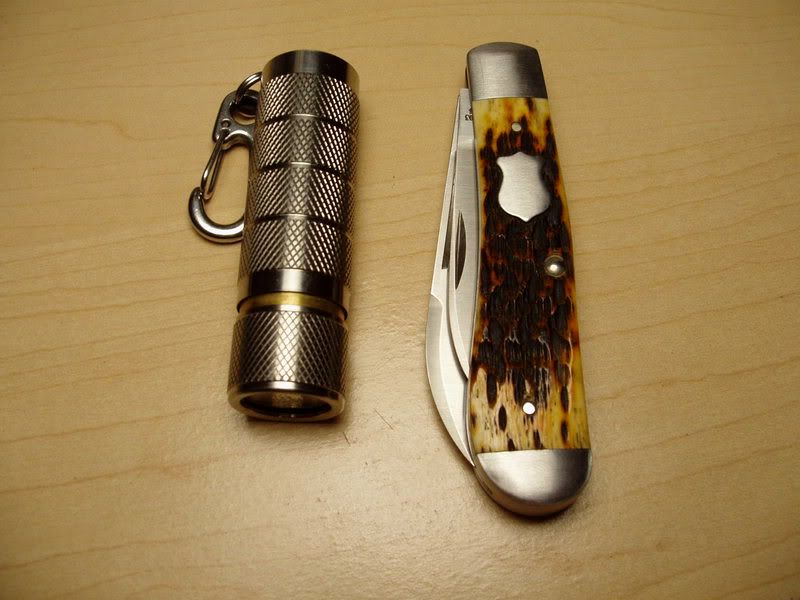 DoglegNautilus.jpg