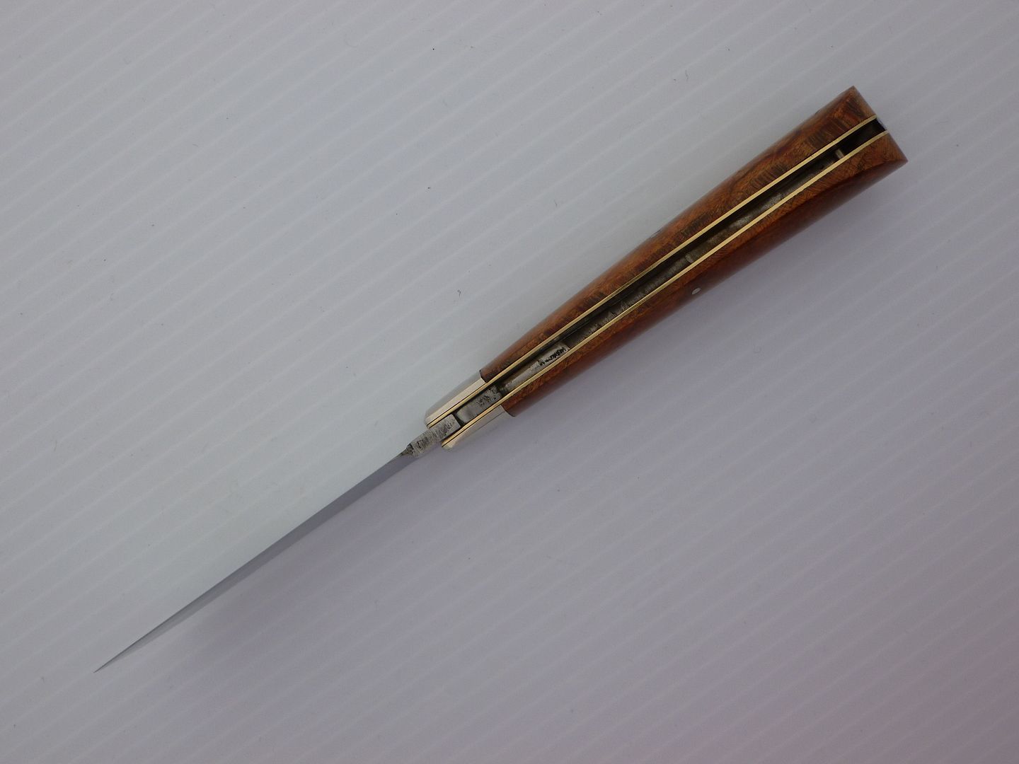 P1000258_zps3572b141.jpg