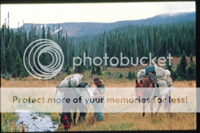 ElkHunt-4.jpg