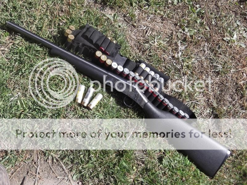 Singleshot12G_zpsbe2f337f.jpg