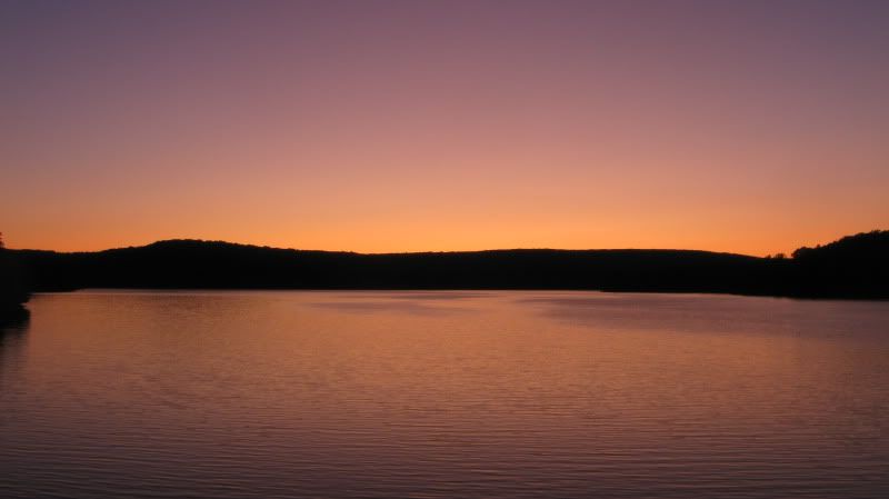 IMG_5541.jpg
