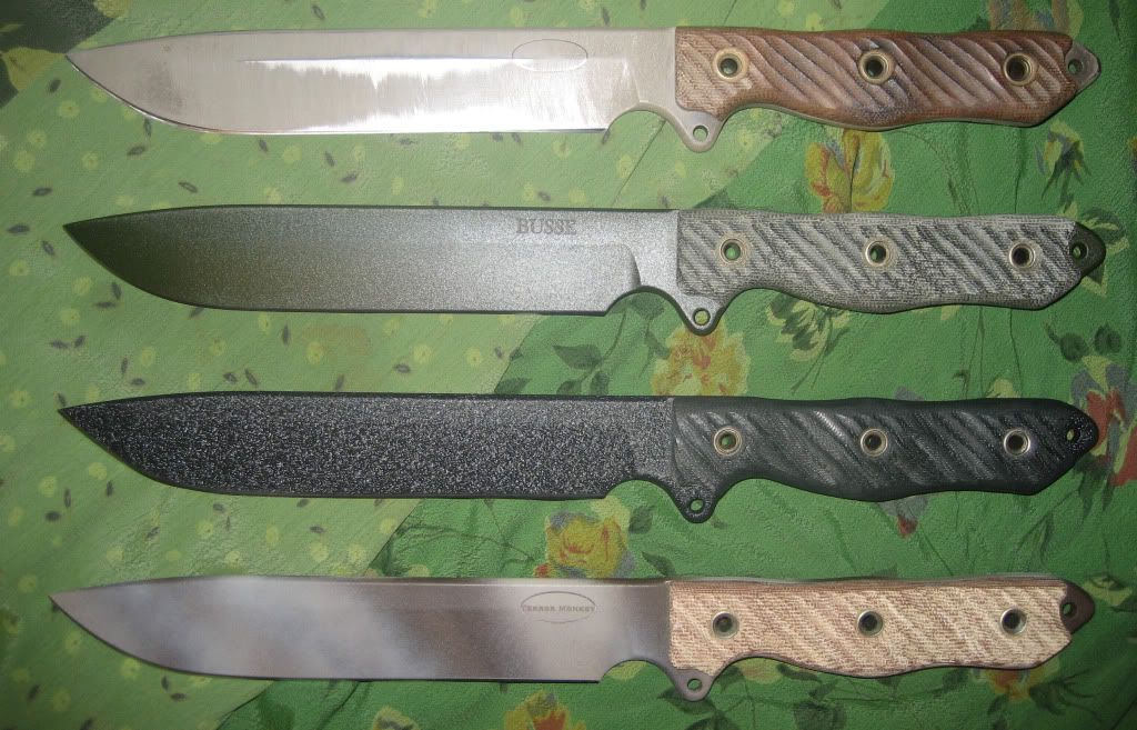 busse8.jpg