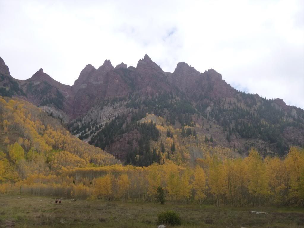 P1010339_zpscc7b0258.jpg