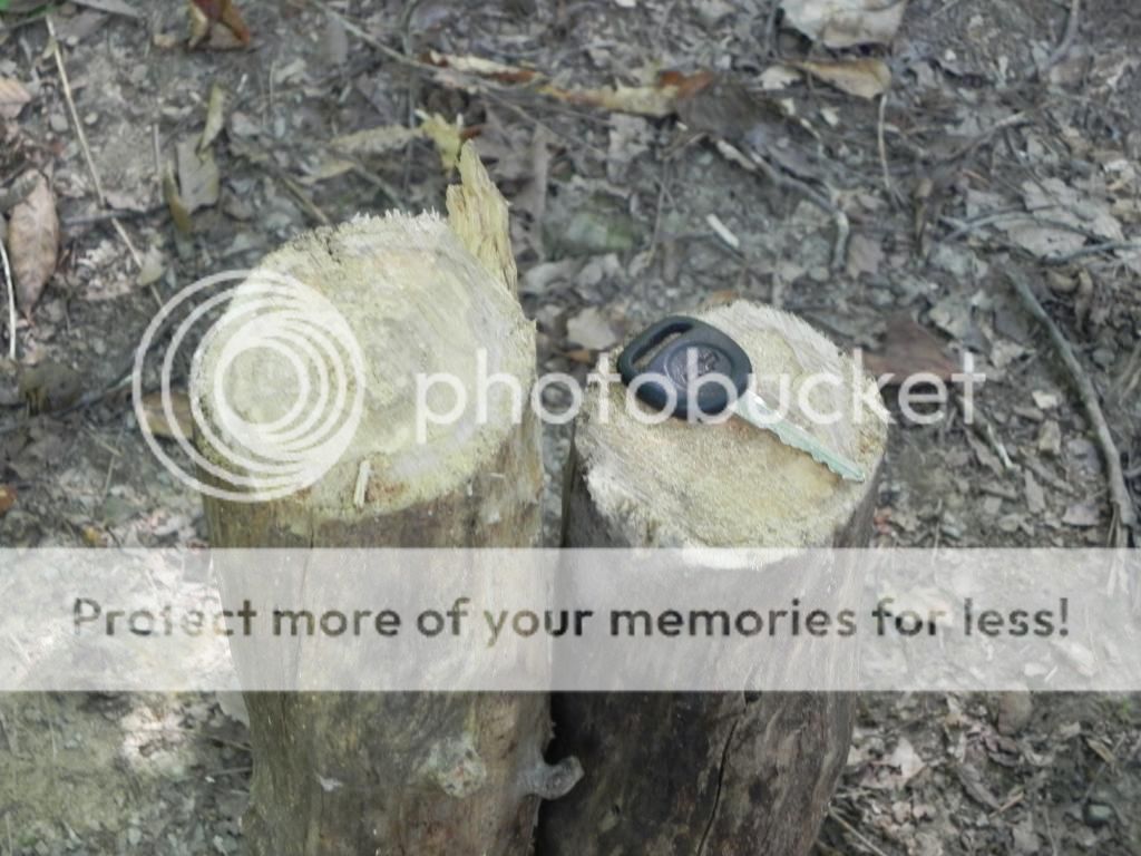 DSCN2369_zps77828aa8.jpg