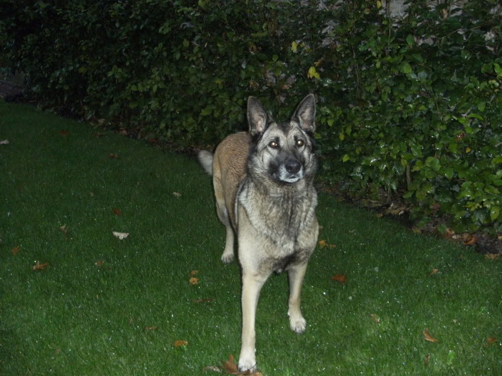 DSCF1233.jpg