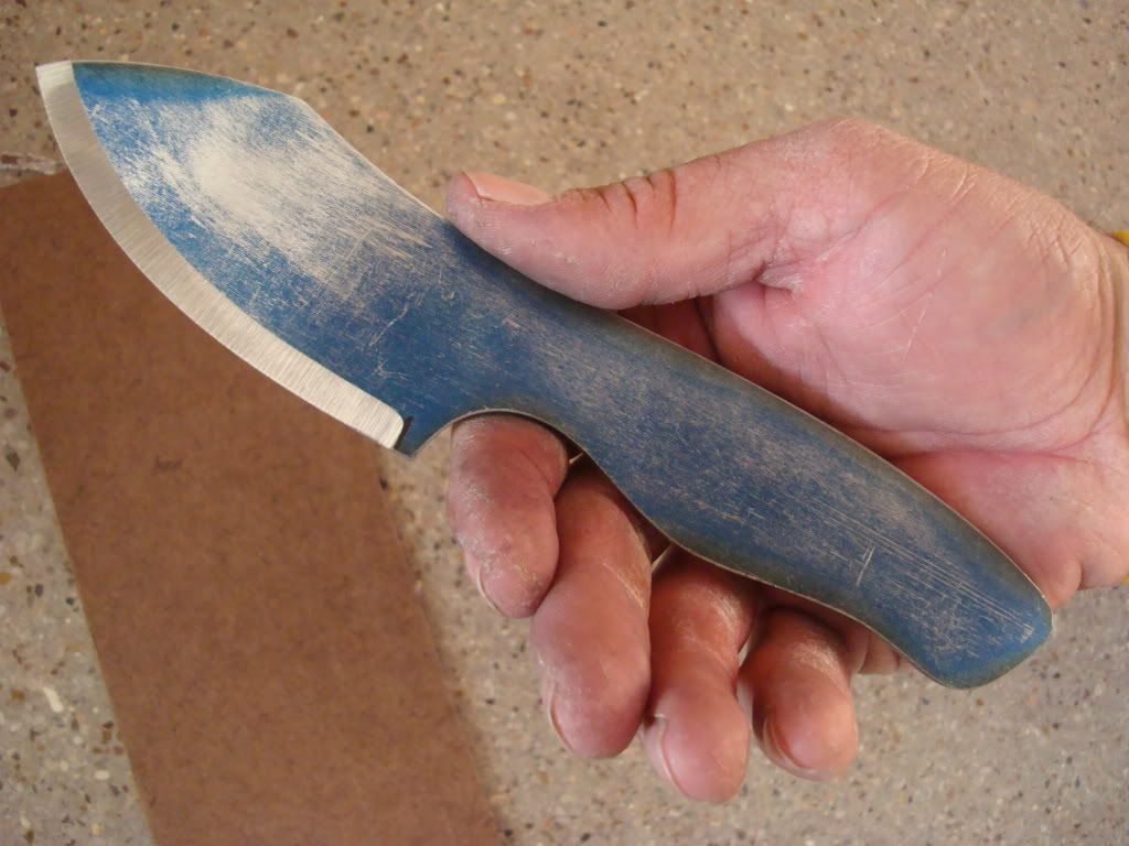 DSC08315.jpg