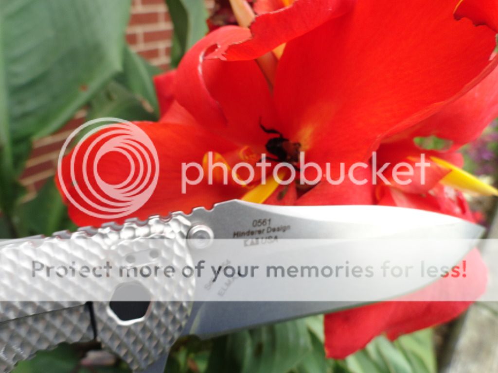 bellaandknives005.jpg