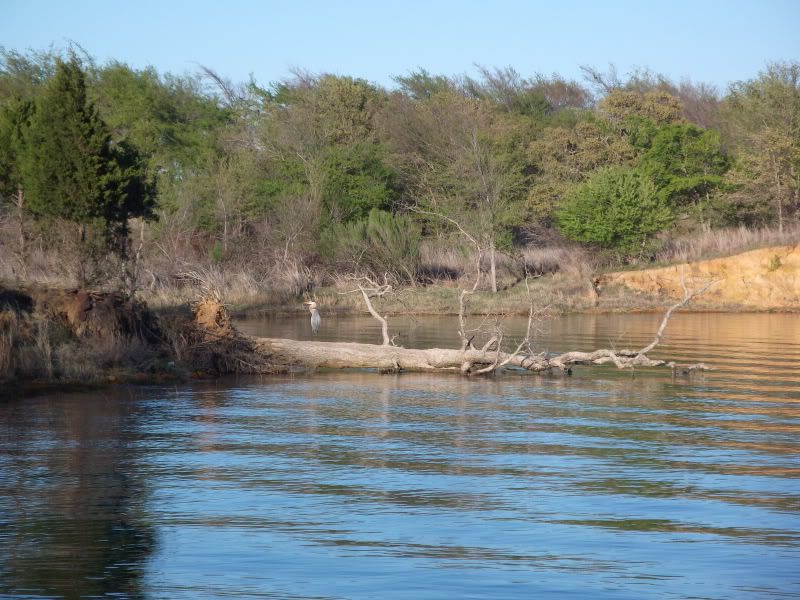 DSCF1948.jpg