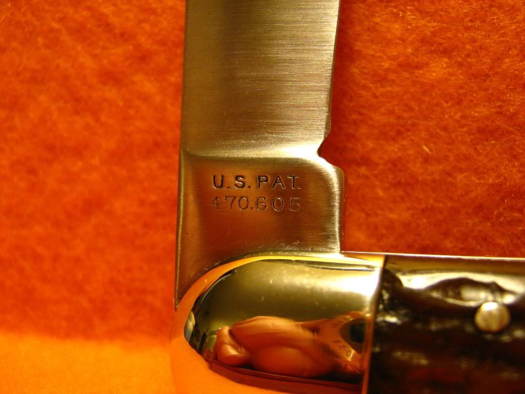 pic1.jpg