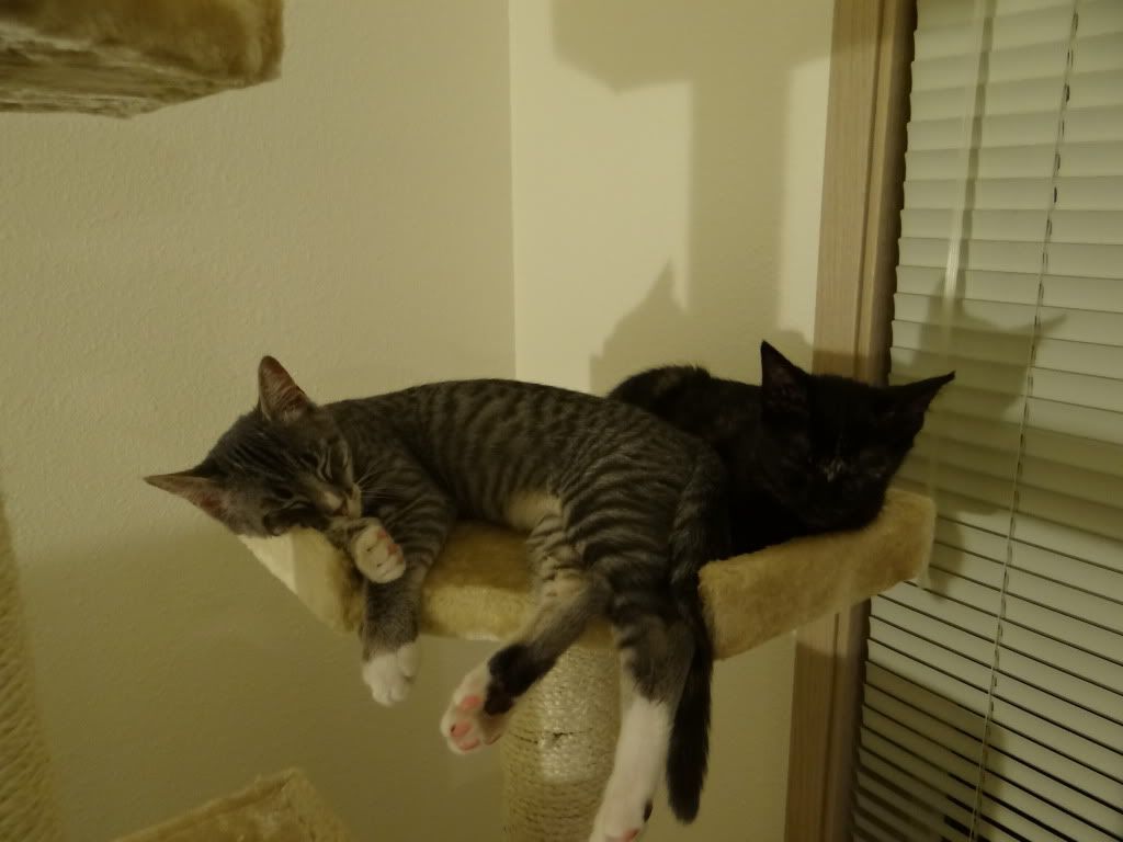 DSC01645.jpg