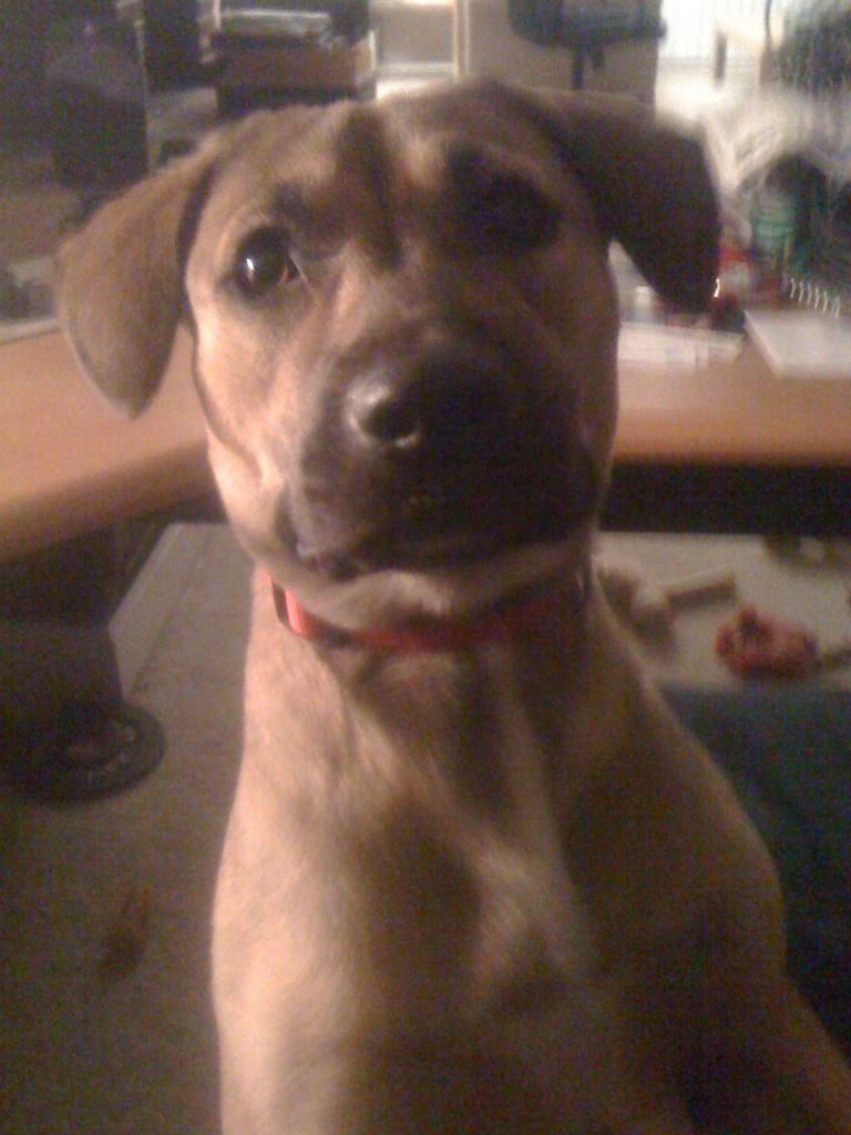 June102012312.jpg