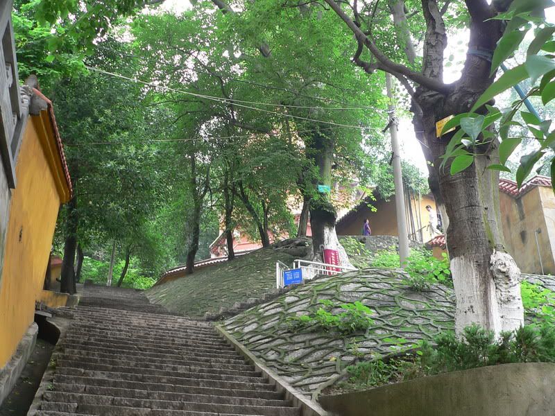 P1400589.jpg