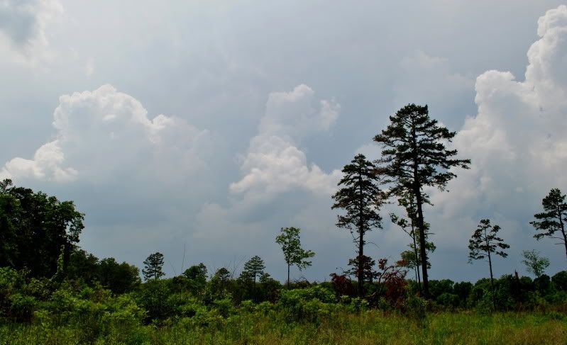 DSC_2061.jpg