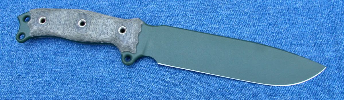 Busse_CGNMSFNO1b-SALE.jpg