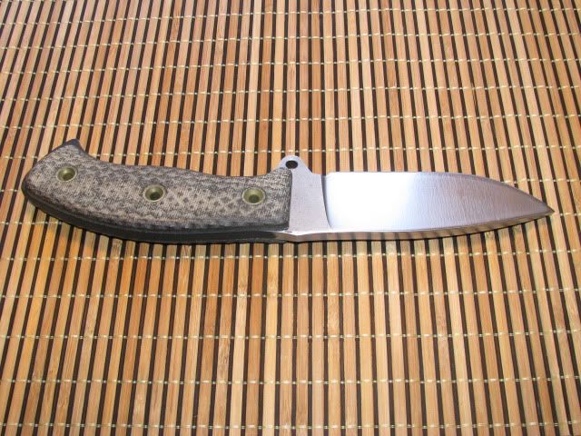 WTT0042.jpg