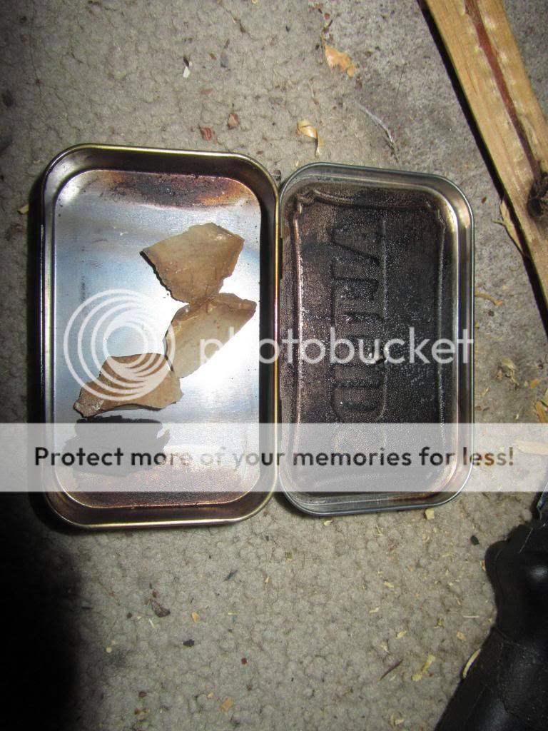 IMG_1318_zps9cd54f0b.jpg
