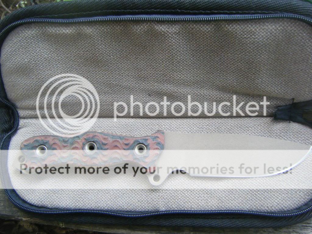 DSCF1651.jpg
