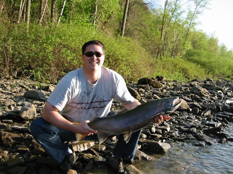 Big_Steelhead.jpg