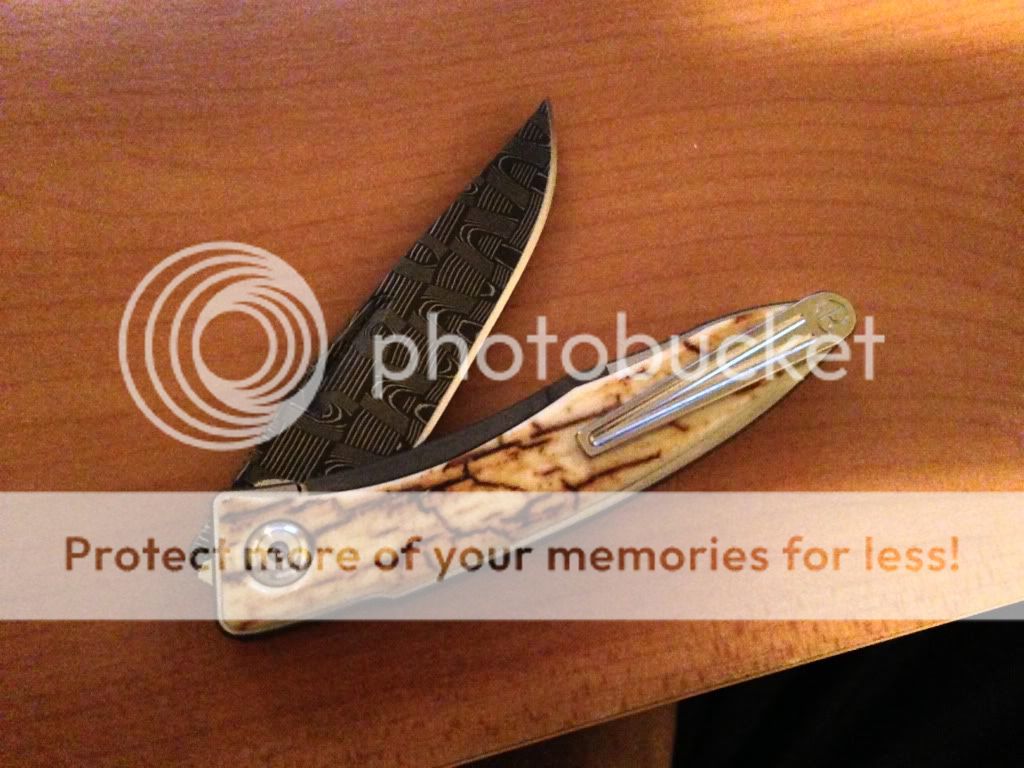 photo_zpsbb8006f2.jpg