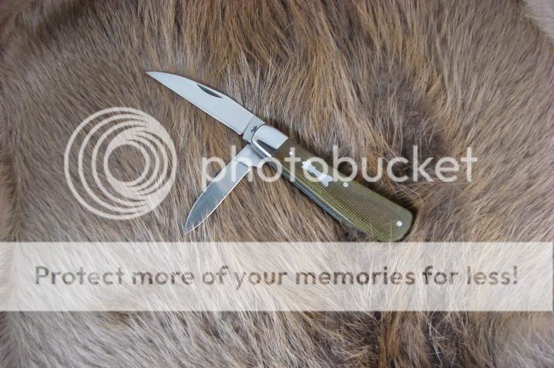 Swaybackjack001.jpg