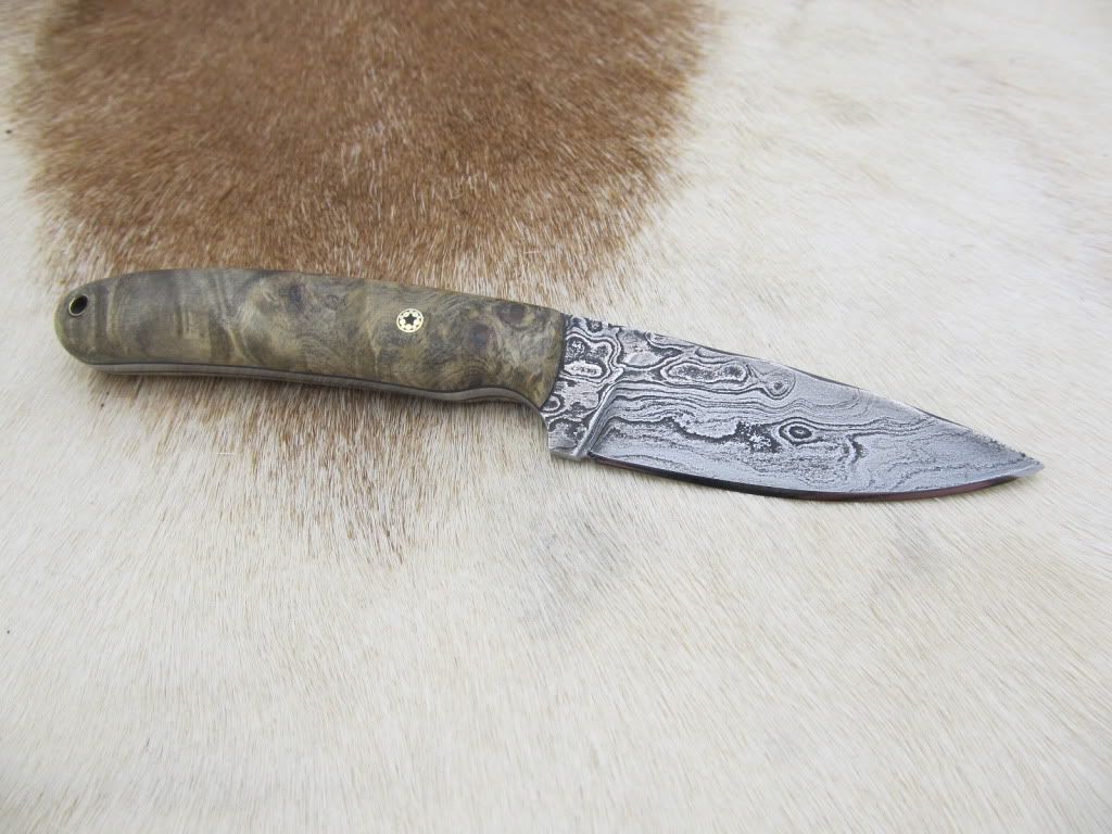 BuckeyeandDamascusEDC018.jpg