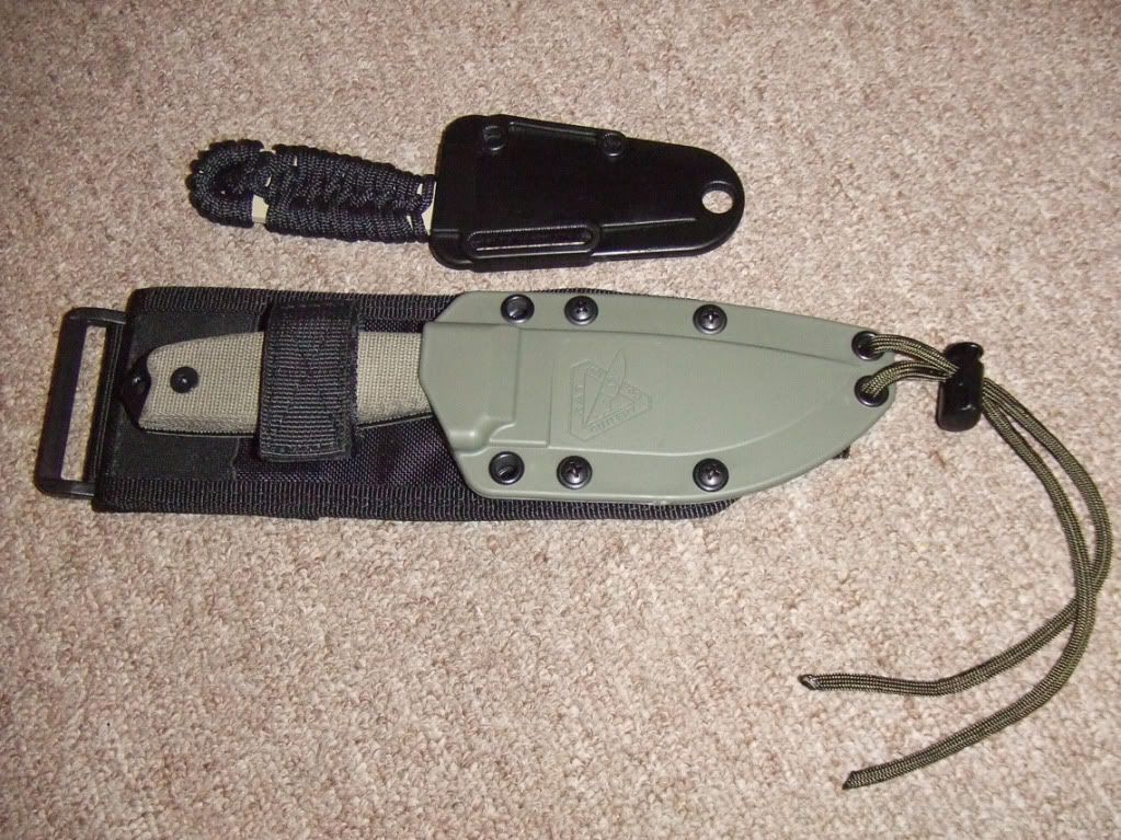 Pair-1.jpg