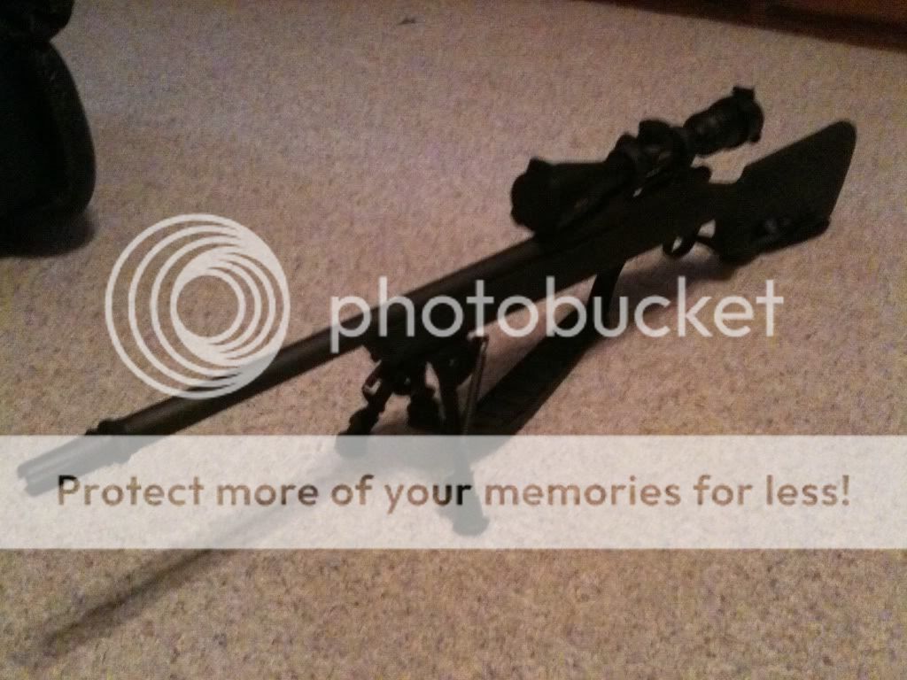 Picture006.jpg